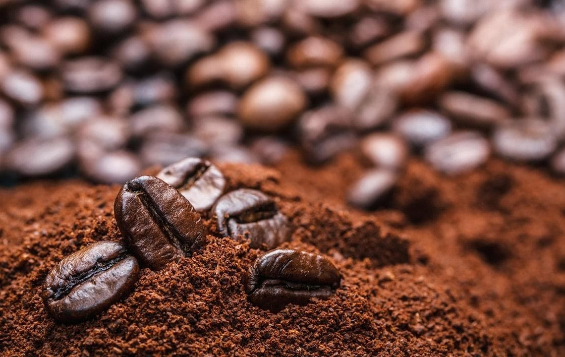 Giá cà phê hôm nay