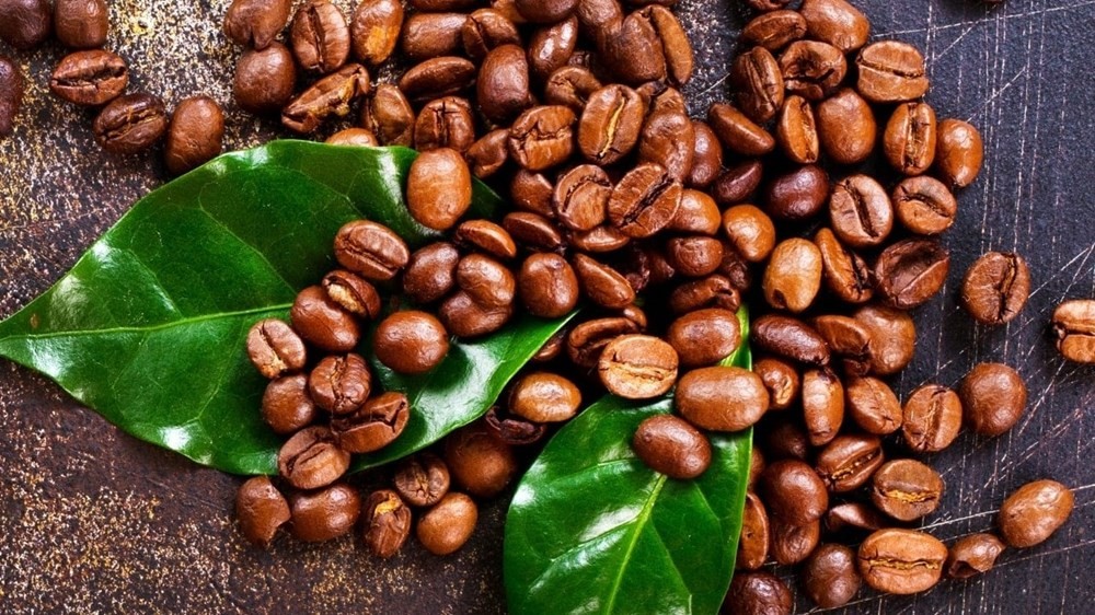 Giá cà phê hôm nay 26/11/2025: Nội địa giảm mạnh, thế giới tăng giảm trái chiều