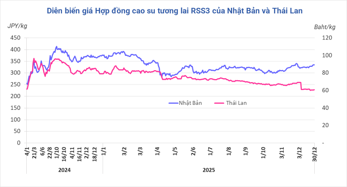 Giá cao su hôm nay 31/12/2025: Lạc quan hơn nhờ nhu cầu hạ nguồn mạnh mẽ