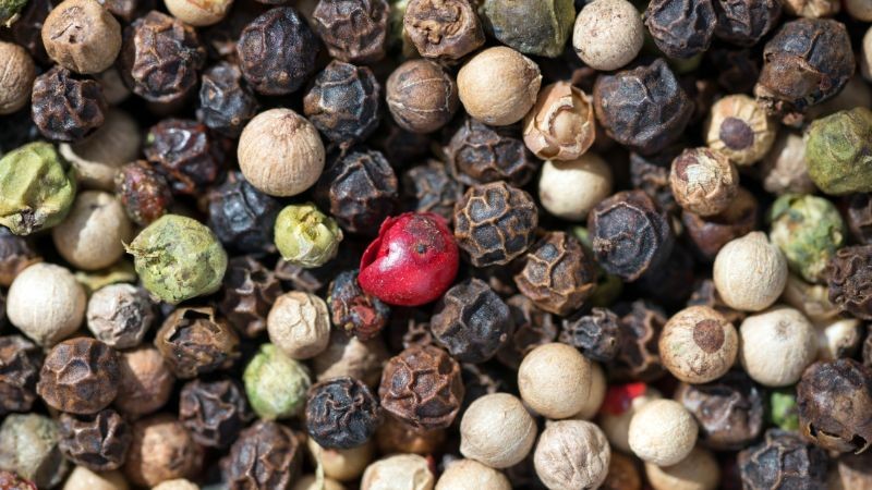 Giá tiêu hôm nay 14/1/2026: Đồng loạt giảm 500 – 1.000 đồng/kg