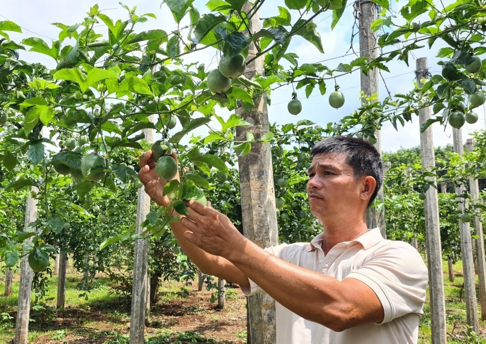 Việt Nam ký thêm 4 nghị định thư về xuất khẩu nông sản với Trung Quốc