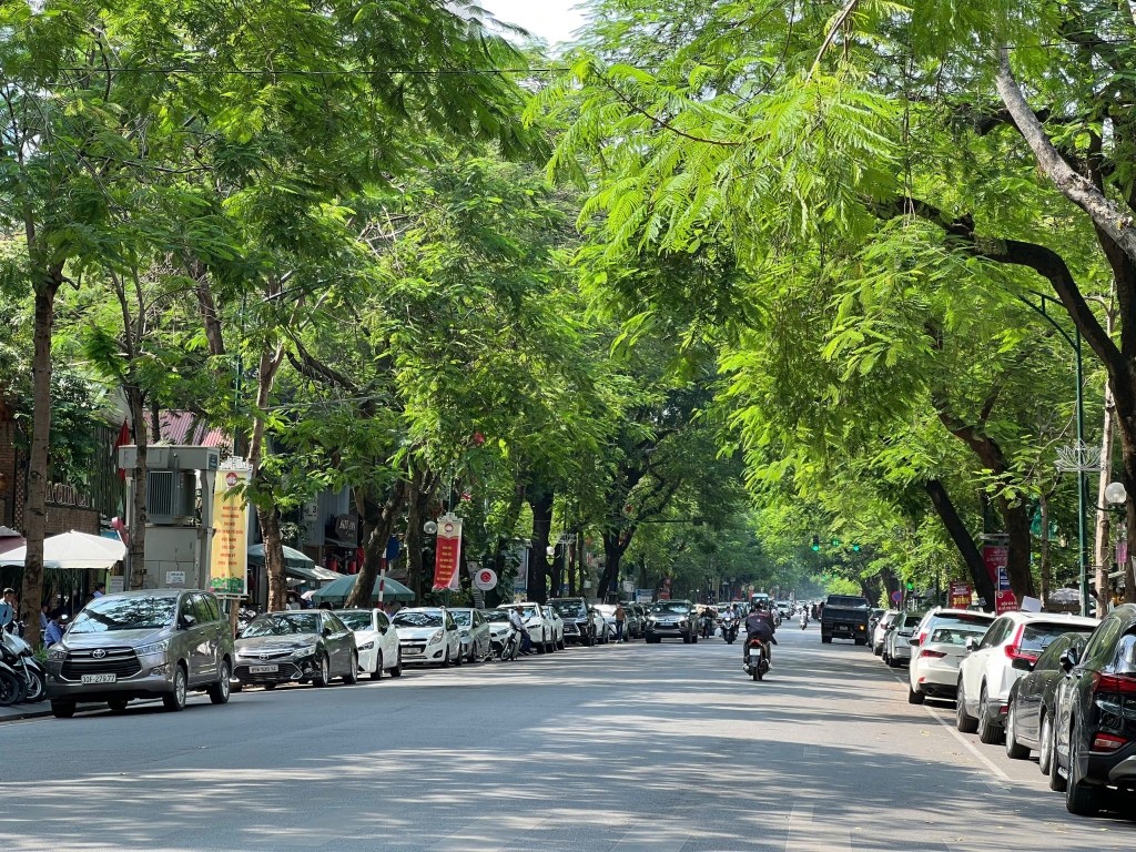 Dự báo thời tiết hôm nay 16/9: Bắc Bộ mưa buổi sáng, ngày nắng