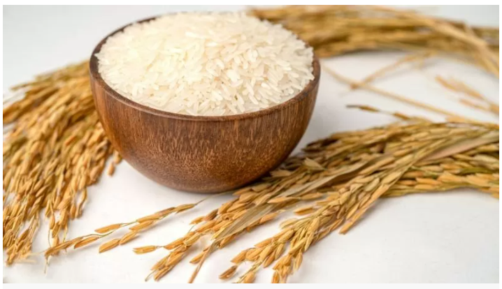 Giá lúa gạo hôm nay 7/11/2025: Thị trường biến động nhẹ, giao dịch chậm