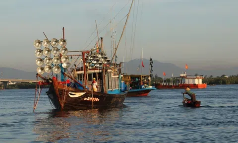 Thủy sản Việt Nam phát triển bền vững tăng tốc trong xuất khẩu, nâng tầm trong hội nhập