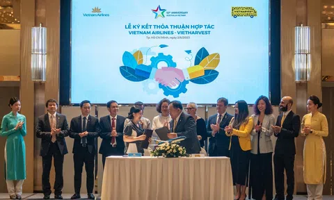 Vietnam Airlines cùng VietHarvest quyên góp suất ăn hàng không tặng những người khó khăn