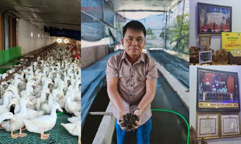 Bắc Giang: Người “nông dân Việt Nam xuất sắc” với mô hình chăn nuôi tuần hoàn và ứng dụng chế phẩm sinh học