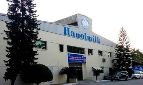 Công ty Cổ phần Sữa Hà Nội bị xử phạt vi phạm hành chính trong lĩnh vực chứng khoán và thị trường chứng khoán